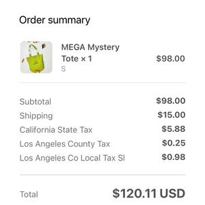 FASHION BRAND COMPANY MYSTERY TOTE!